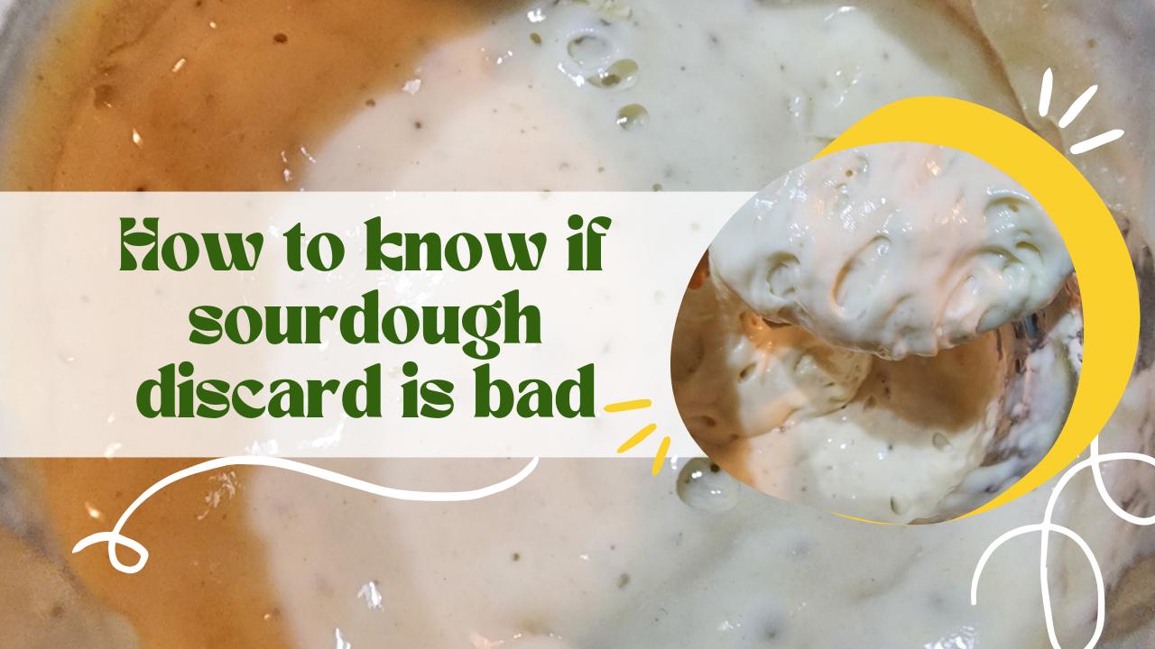 How Do You Know if Sourdough Discard is Bad?